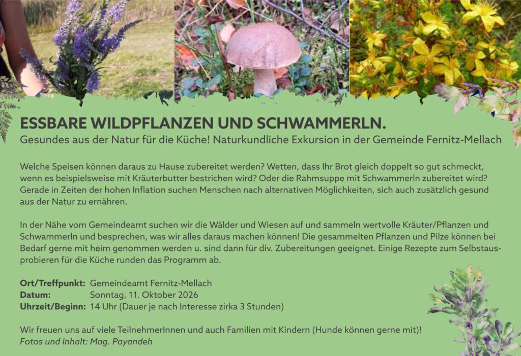 Veranstaltungen Herbstübersicht Gössendorf, Fernitz-Mellach, Hausmannstätten, Vasoldsberg, Raaba-Grambach & Hart bei Graz sowie Umgebung