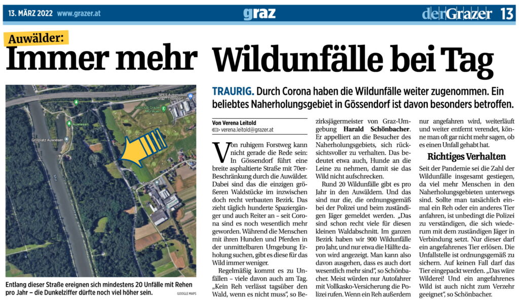 Grazer 13. März – Wildunfälle in Gössendorf