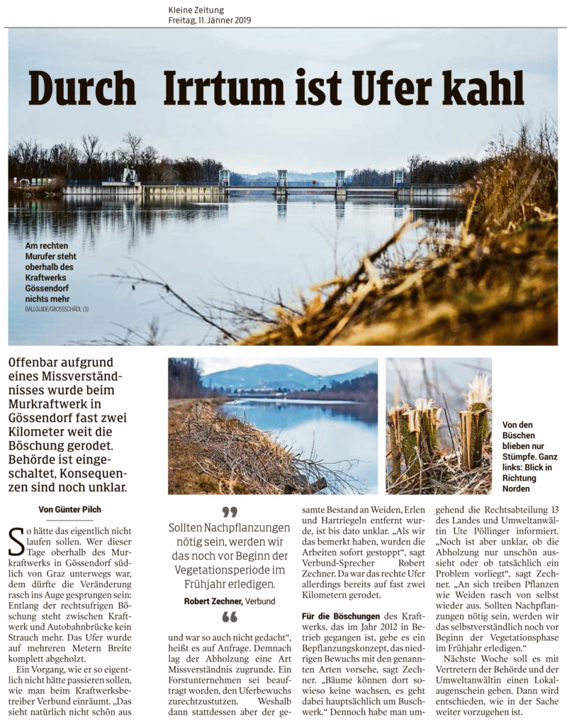 Kleine Zeitung 11. Jänner 2019 – Durch Irrtum ist das Ufer kahl