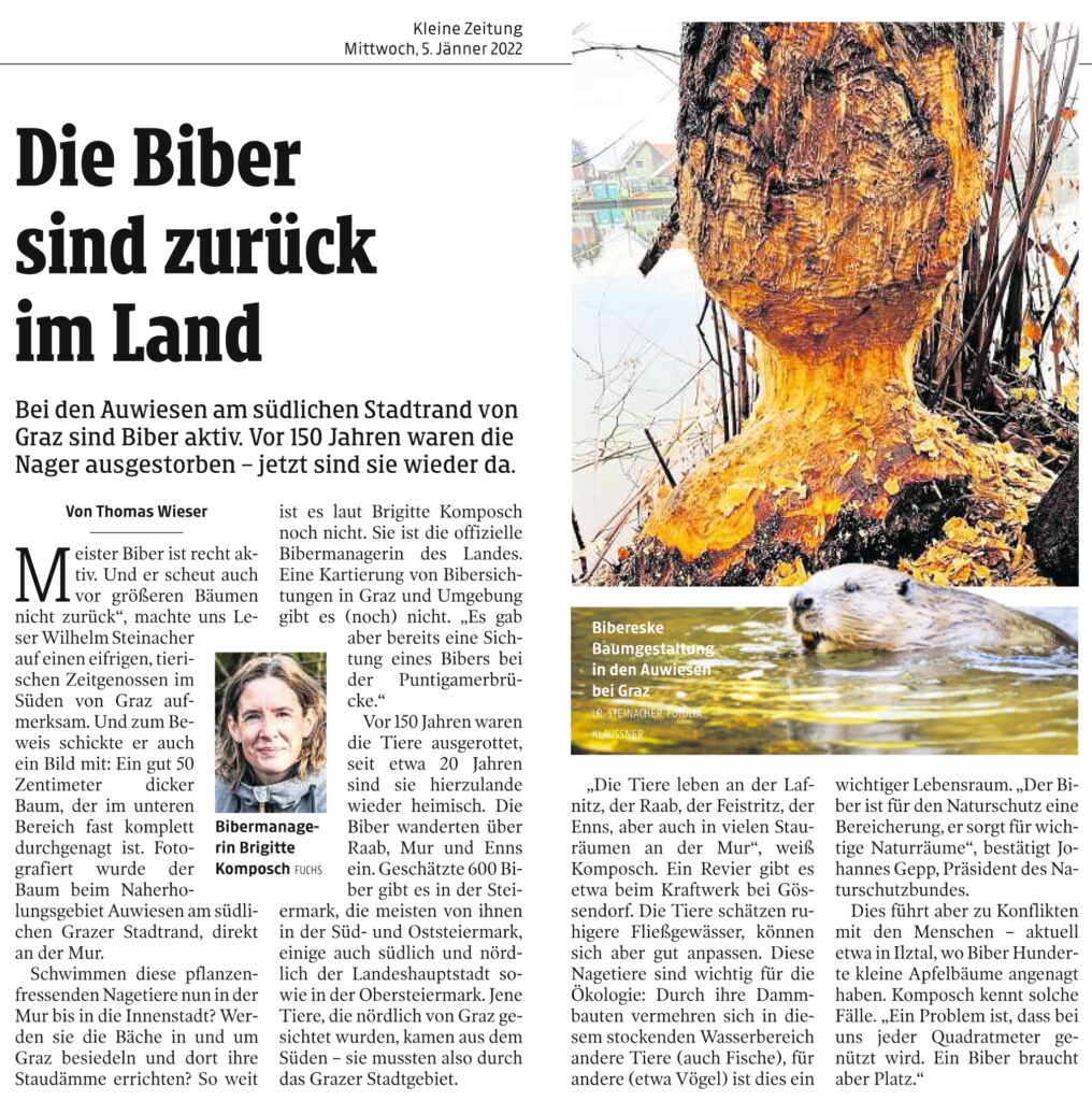 Kleine Zeitung 05. Jänner 2022 zu Bibern im Bereich Kraftwerk Gössendorf bis Auwiesen: