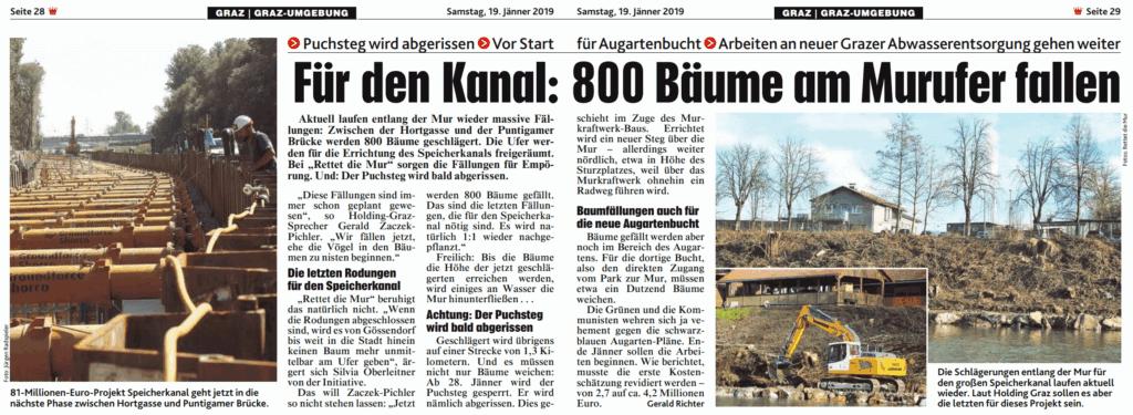 Kronen Zeitung 19. Jänner 2019 – Für den Kanal werden 800 Bäume am Murufer fallen, zwischen Graz und Gössendorf wird an der Mur kein Baum mehr stehen