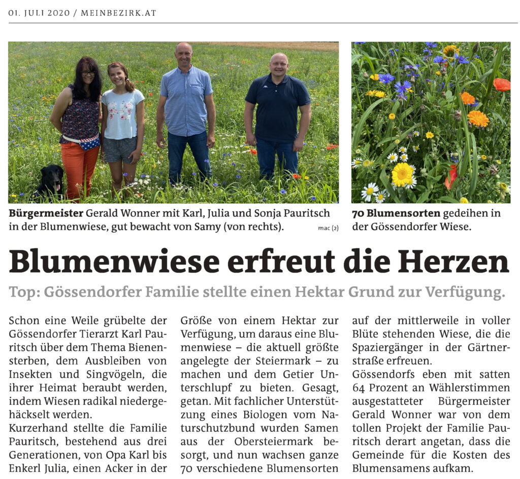Blumenwiese Pauritsch